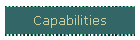 Capabilities